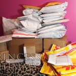 Financial Princess Tribute